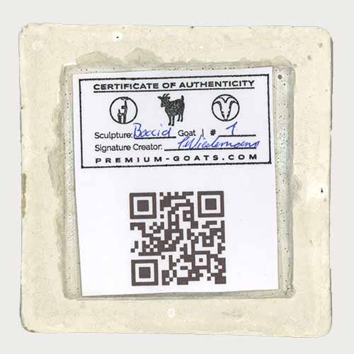 Boccia Goat Certificate